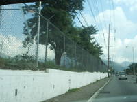 Highlight for Album: Fence Project