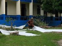 Highlight for Album: Jamaica College after hurricane Ivan