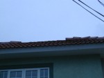 P1010040